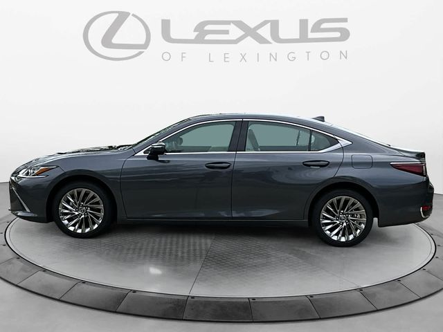 2024 Lexus ES 250