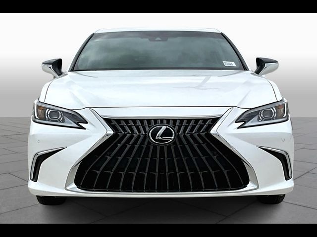 2024 Lexus ES 250