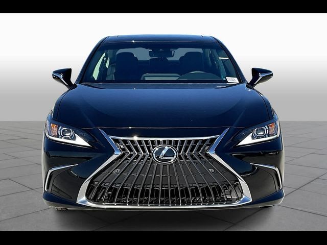 2024 Lexus ES 250