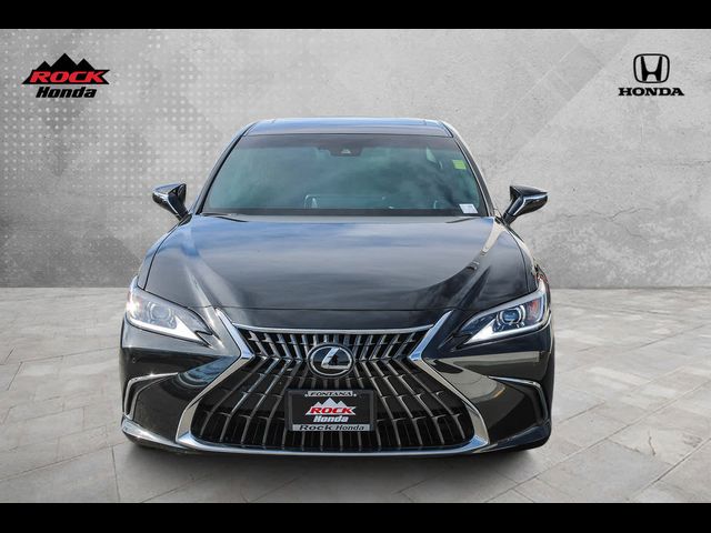 2024 Lexus ES 300h