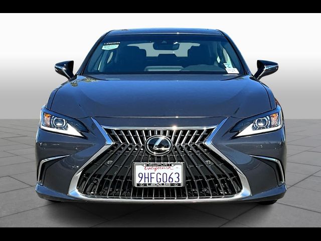 2024 Lexus ES 300h