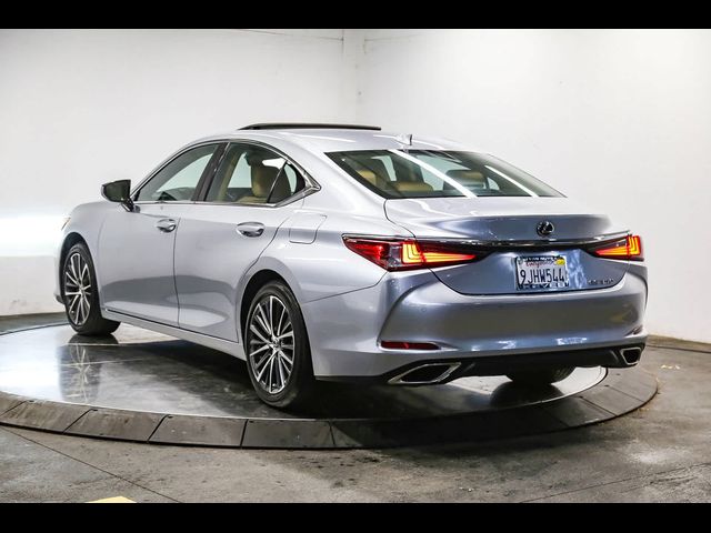 2024 Lexus ES 350