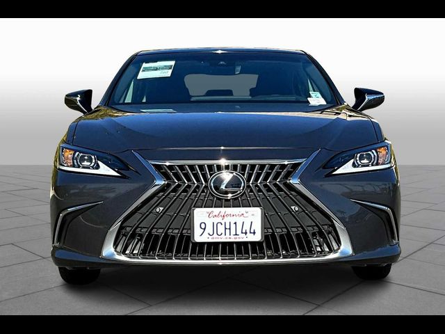 2024 Lexus ES 350