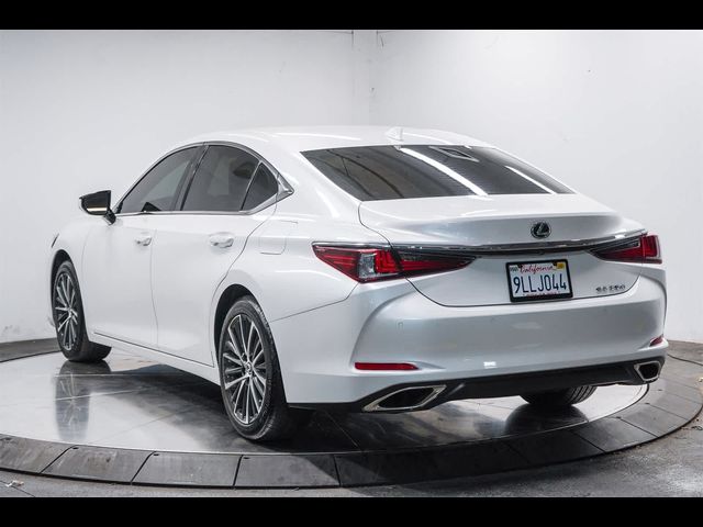 2024 Lexus ES 350