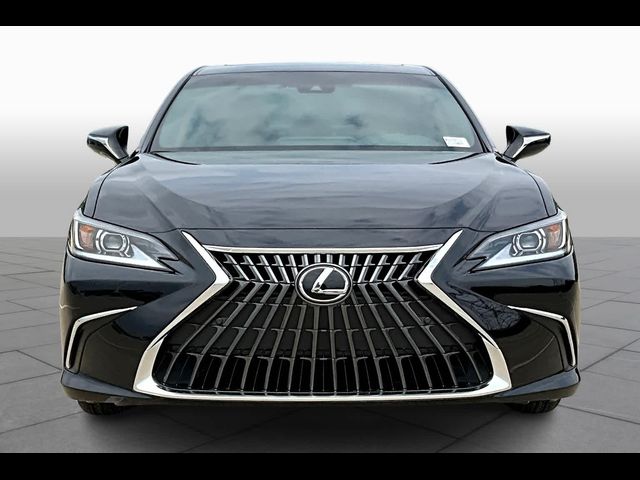 2024 Lexus ES 350