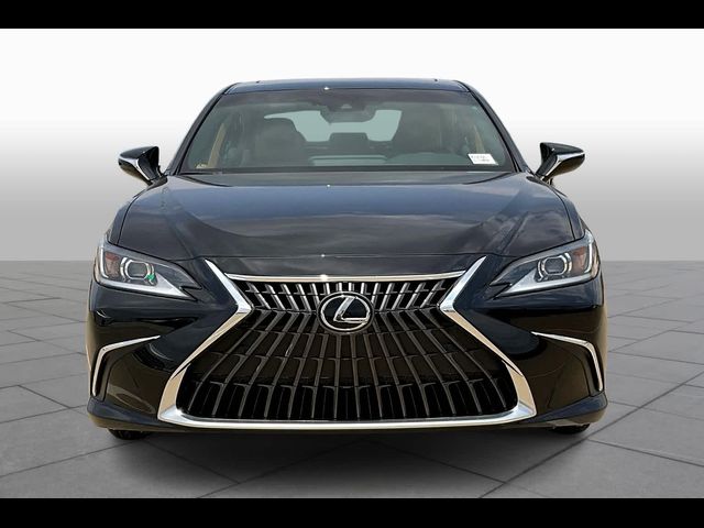 2024 Lexus ES 350