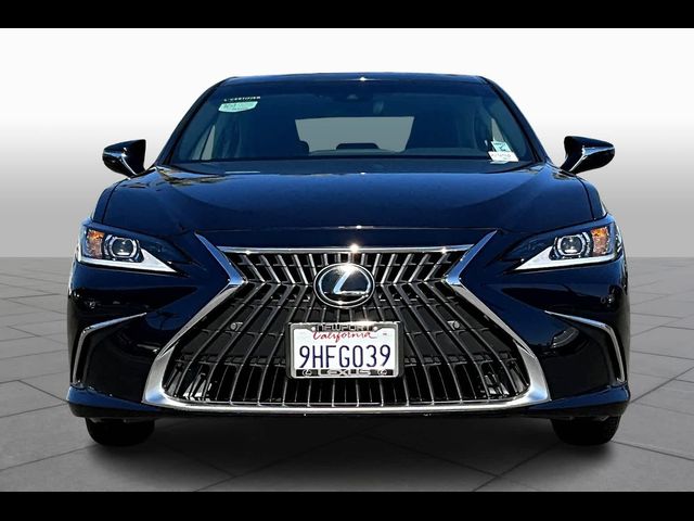 2024 Lexus ES 350