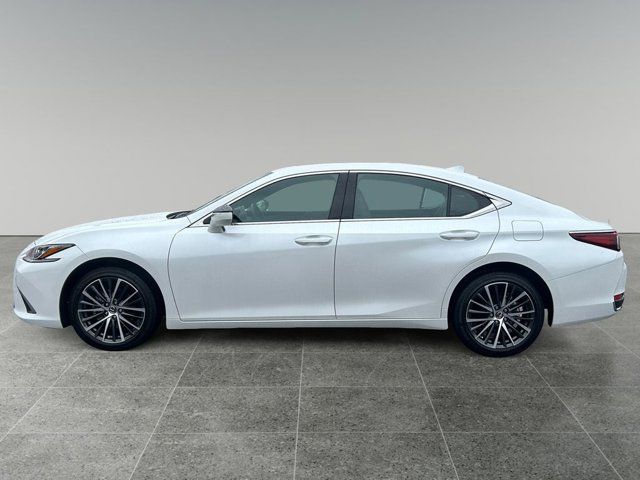 2024 Lexus ES 250