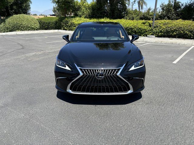 2024 Lexus ES 250