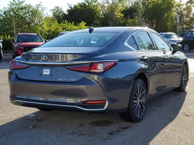 2024 Lexus ES 250