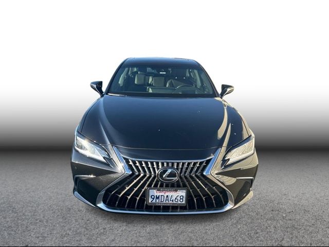 2024 Lexus ES 300h