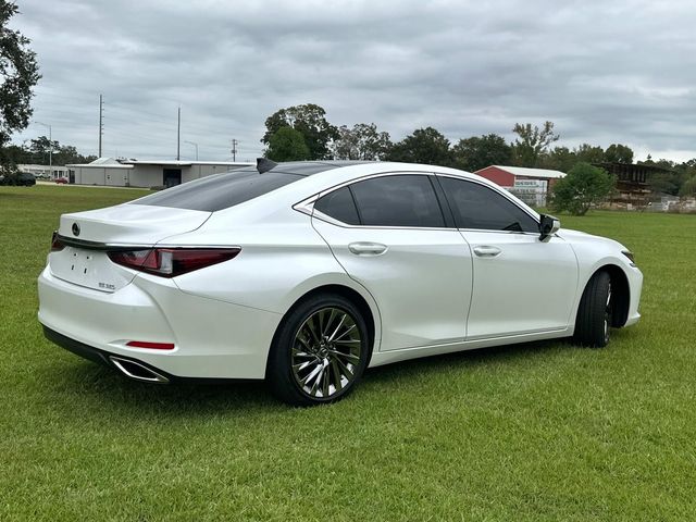 2024 Lexus ES 350 Luxury