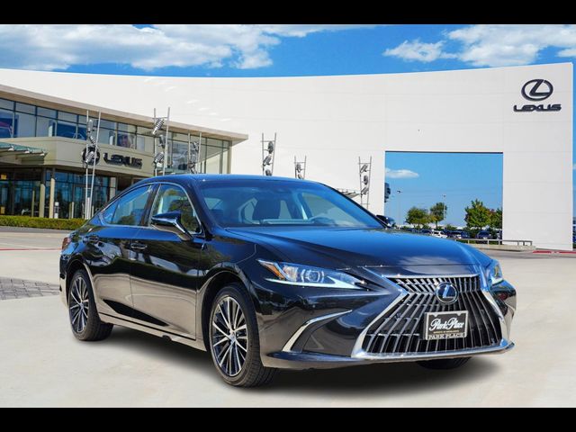 2024 Lexus ES 250