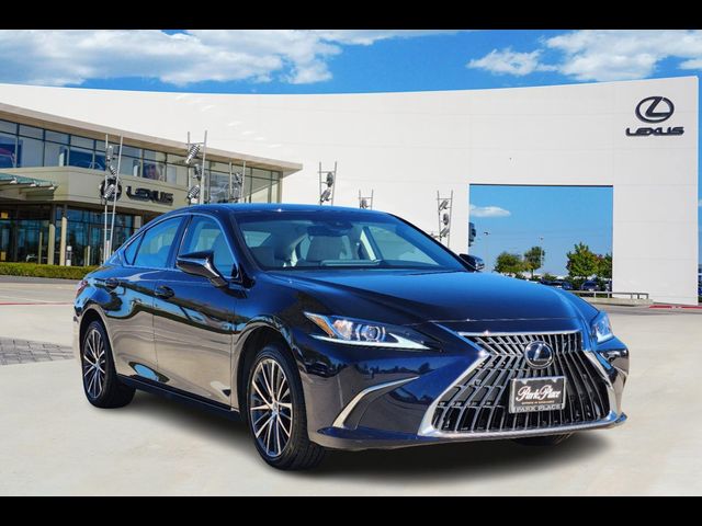 2024 Lexus ES 250