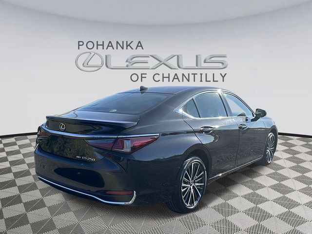 2024 Lexus ES 250