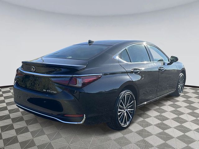 2024 Lexus ES 250