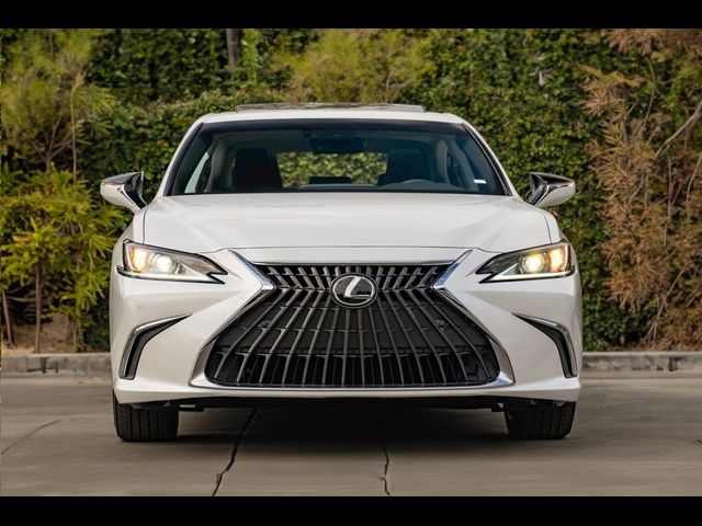 2024 Lexus ES 250