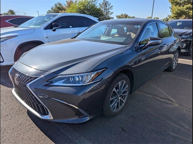 2024 Lexus ES 350