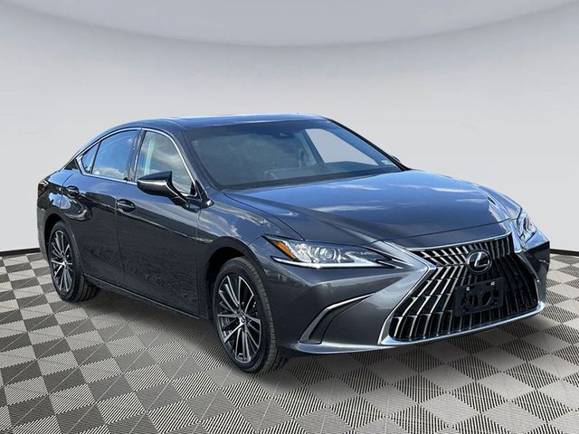 2024 Lexus ES 350