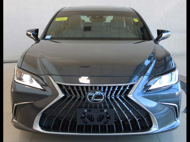 2024 Lexus ES 350