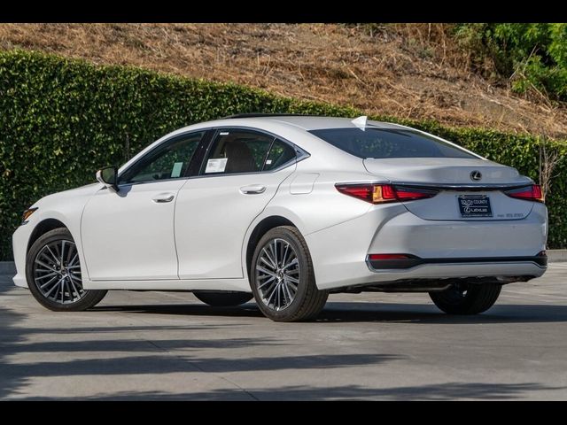 2024 Lexus ES 250