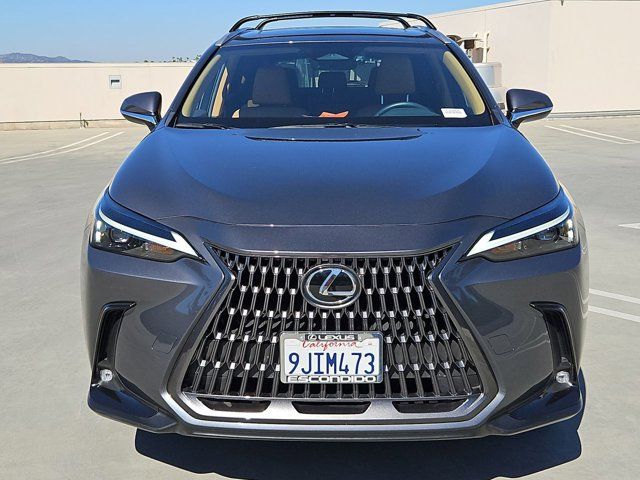 2024 Lexus NX 250