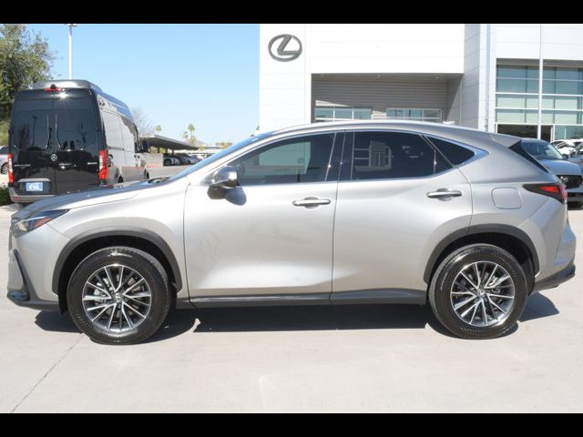 2024 Lexus NX 250