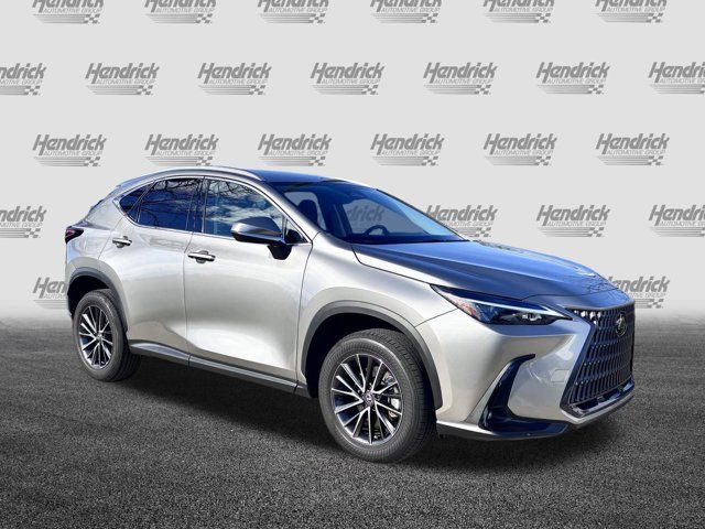 2024 Lexus NX 250