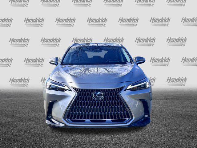 2024 Lexus NX 250