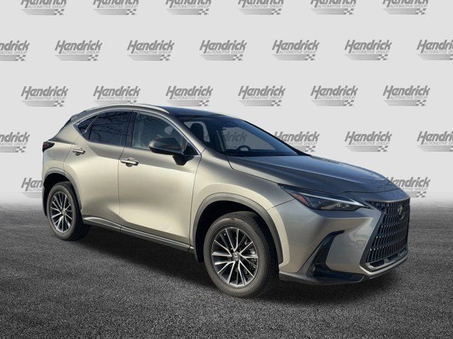 2024 Lexus NX 250