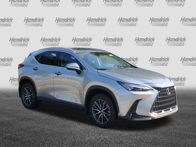 2024 Lexus NX 250