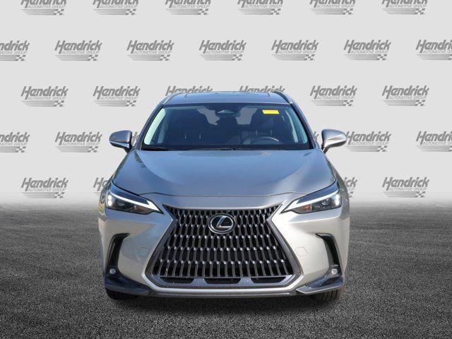 2024 Lexus NX 250