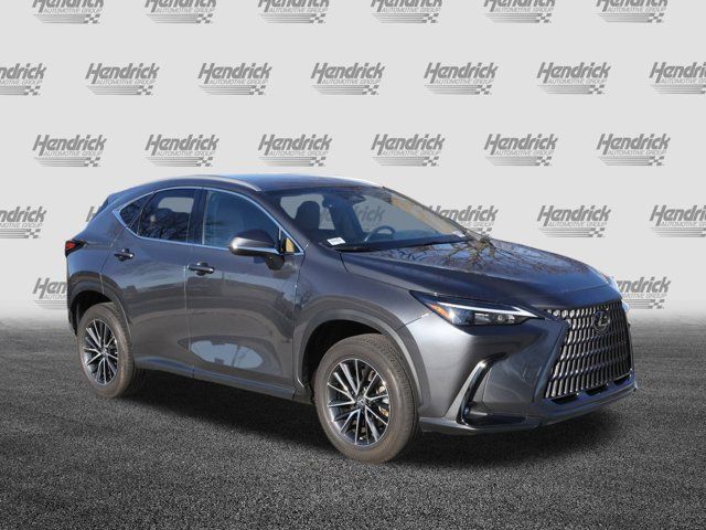 2024 Lexus NX 250