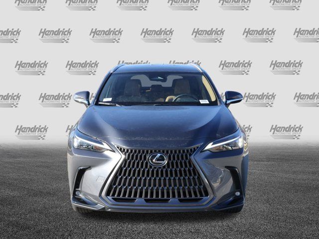 2024 Lexus NX 250