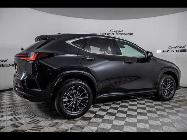 2024 Lexus NX 250