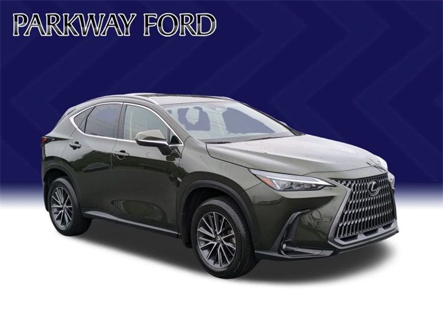 2024 Lexus NX 250