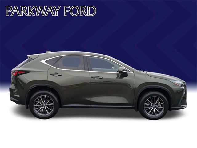 2024 Lexus NX 250