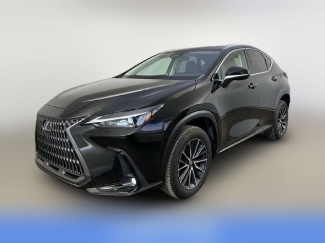 2024 Lexus NX 250