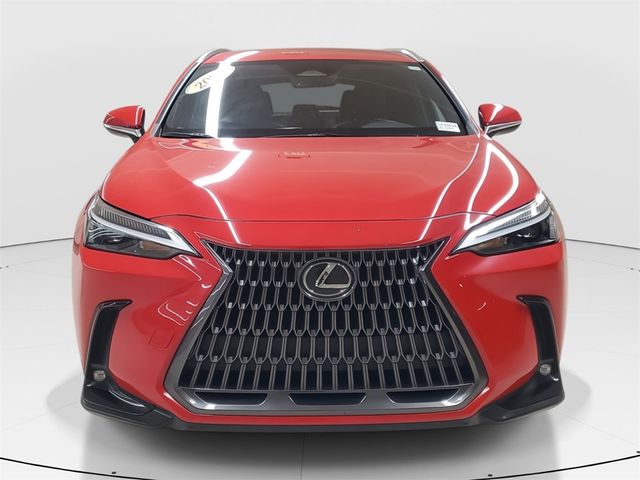 2024 Lexus NX 250