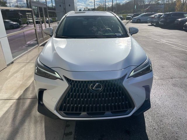 2024 Lexus NX 250