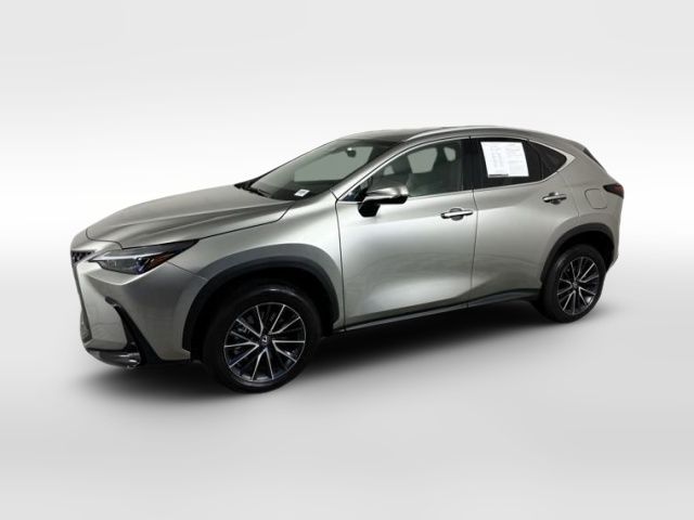 2024 Lexus NX 250