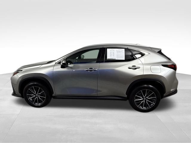 2024 Lexus NX 250