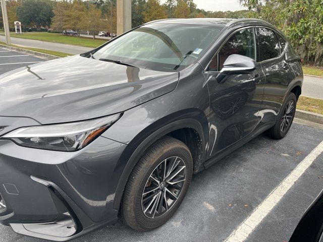 2024 Lexus NX 250