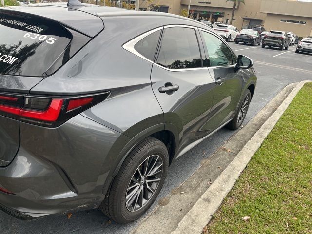 2024 Lexus NX 250