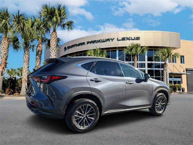 2024 Lexus NX 250