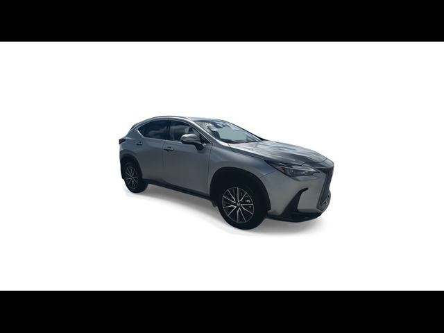 2024 Lexus NX 250