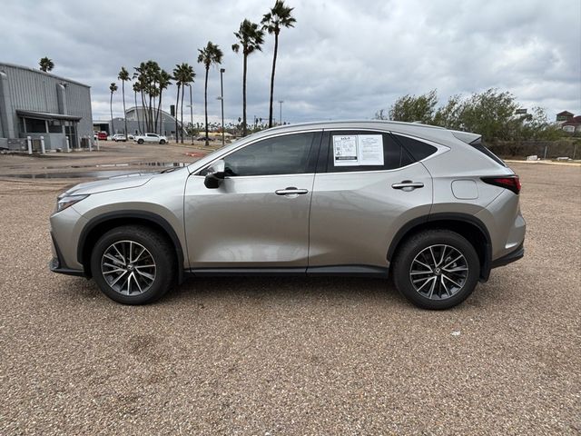 2024 Lexus NX 250