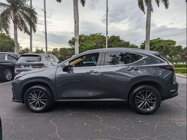 2024 Lexus NX 250