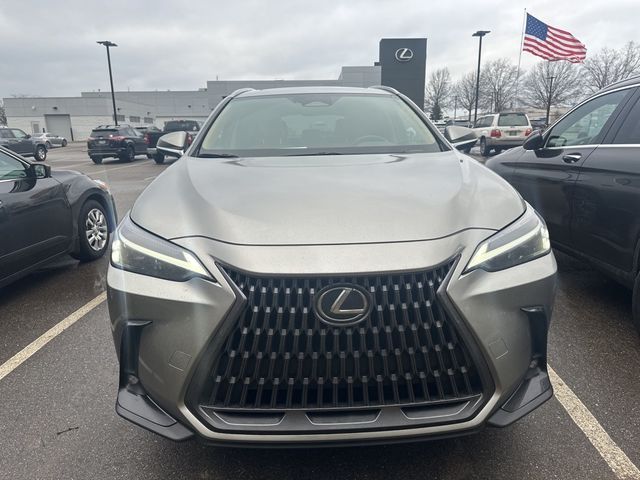 2024 Lexus NX 250