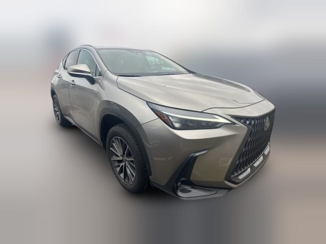 2024 Lexus NX 250